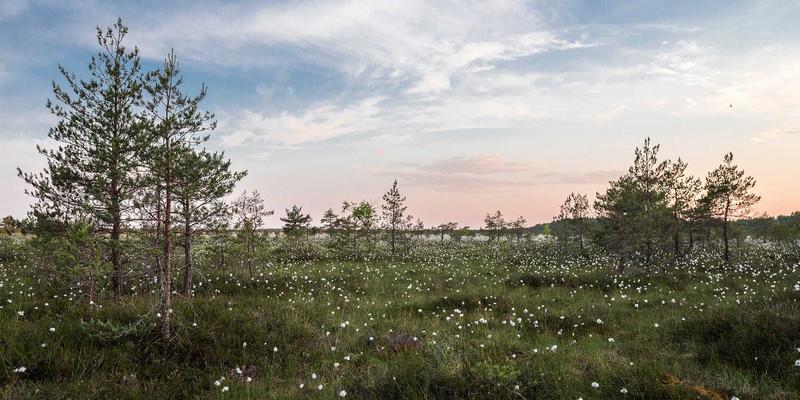 从录音到母带处理：掌握DAW自动化与路由的进阶音乐制作技巧