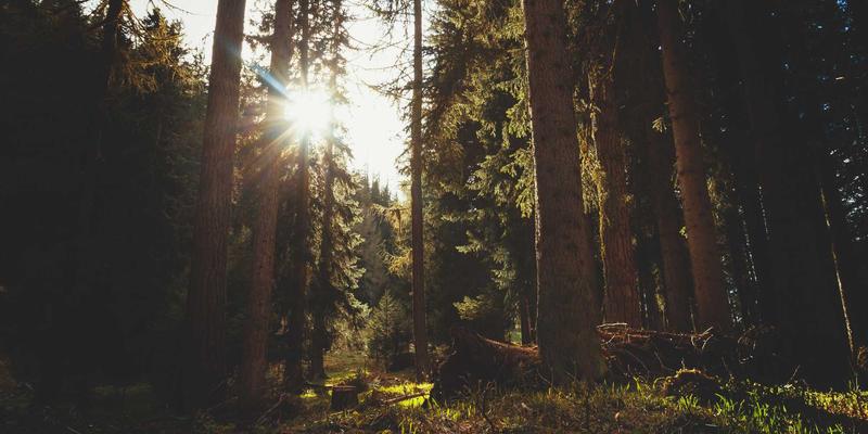 深度学习如何革新音频分离与人声提取：为录音、音乐服务和音乐制作带来的变革