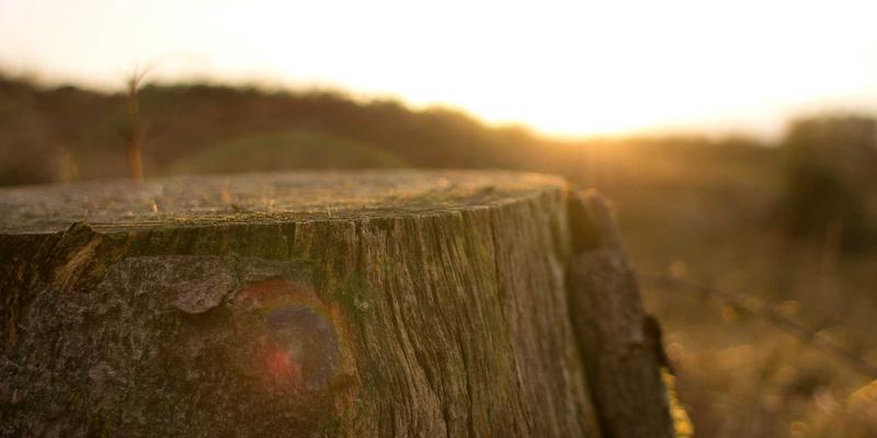 音频技术25：重塑音乐制作与服务的未来图景