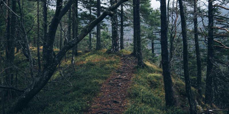 音频技术50:从音乐制作到母带处理的完整艺术