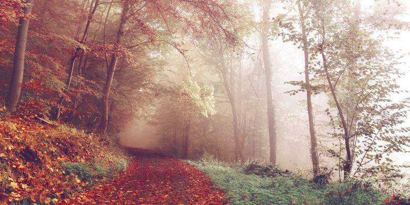 音频技术90：从录音到母带处理，打造专业级男高音网络作品的完整指南