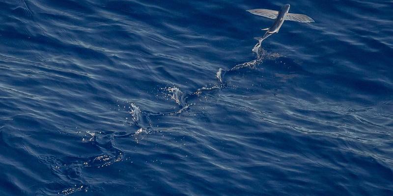 音频技术91：解码现代音乐服务背后的母带处理革命