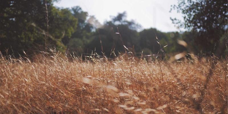 音频编解码器演进史：从MP3到AAC，再到AV1 Audio如何重塑音乐服务与制作